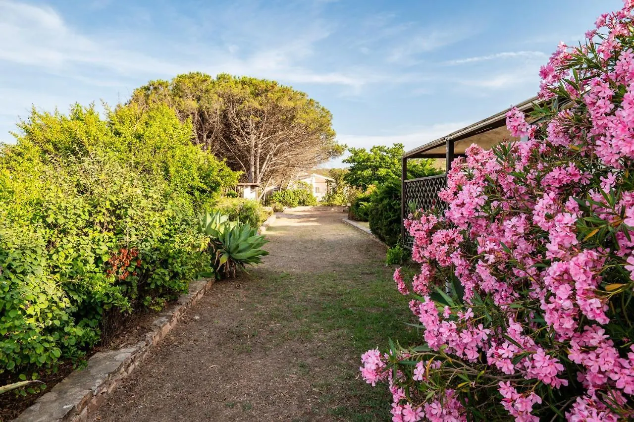 Villa Bay Pine - Klodge Olbia