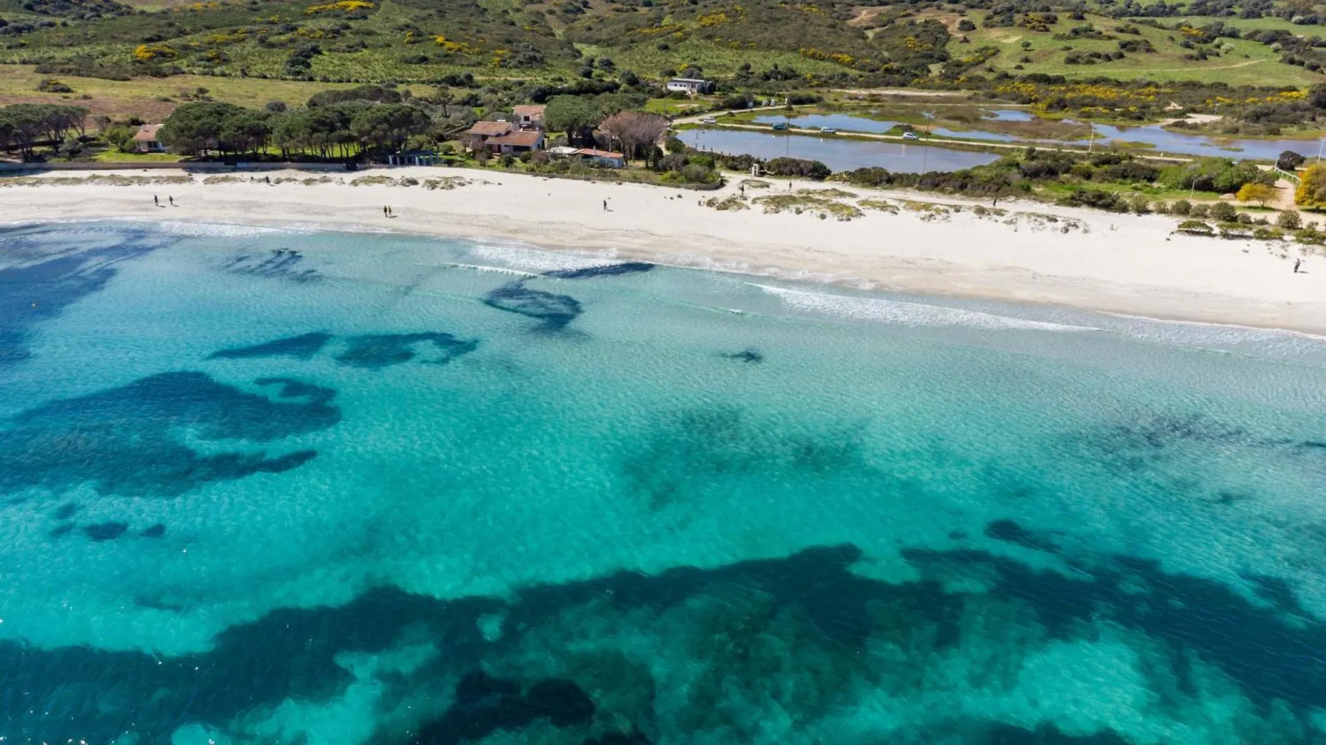 Villa Bay Pine - Klodge Olbia