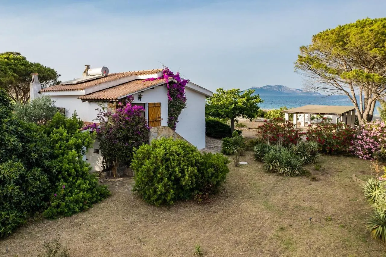 Villa Bay Pine - Klodge Olbia