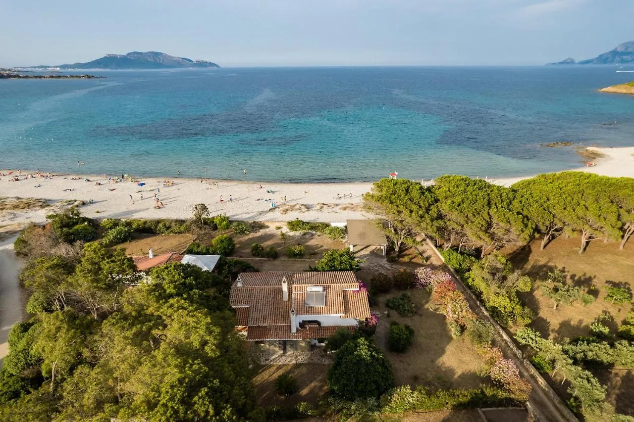 Villa Bay Pine - Klodge Olbia 0*,