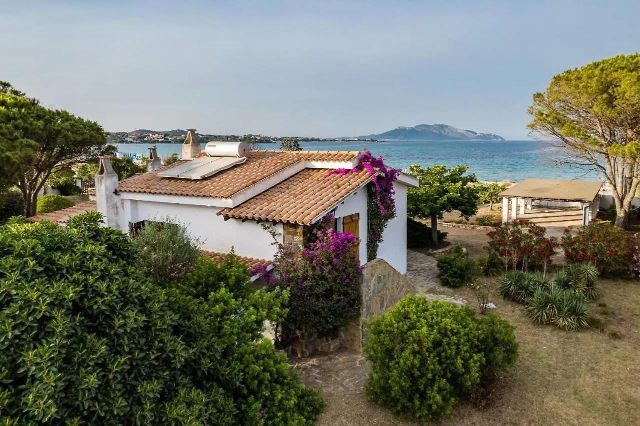 Villa Bay Pine - Klodge Olbia