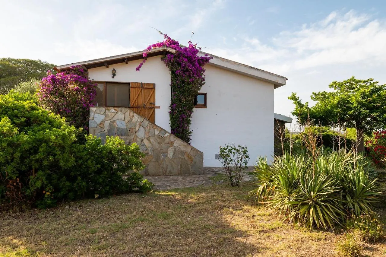 Villa Bay Pine - Klodge Olbia