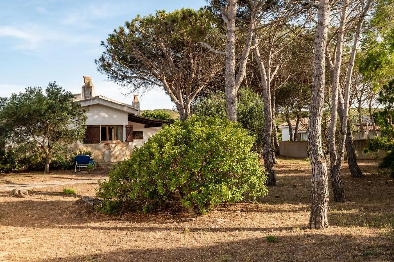 Villa Bay Pine - Klodge Olbia